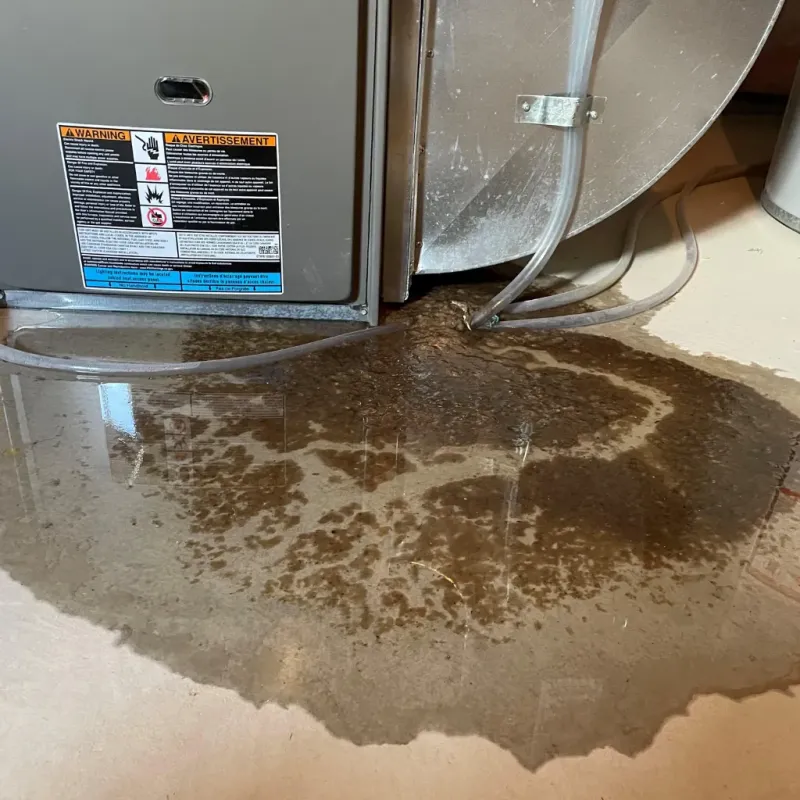 Appliance Leak Cleanup in Wading River, NY